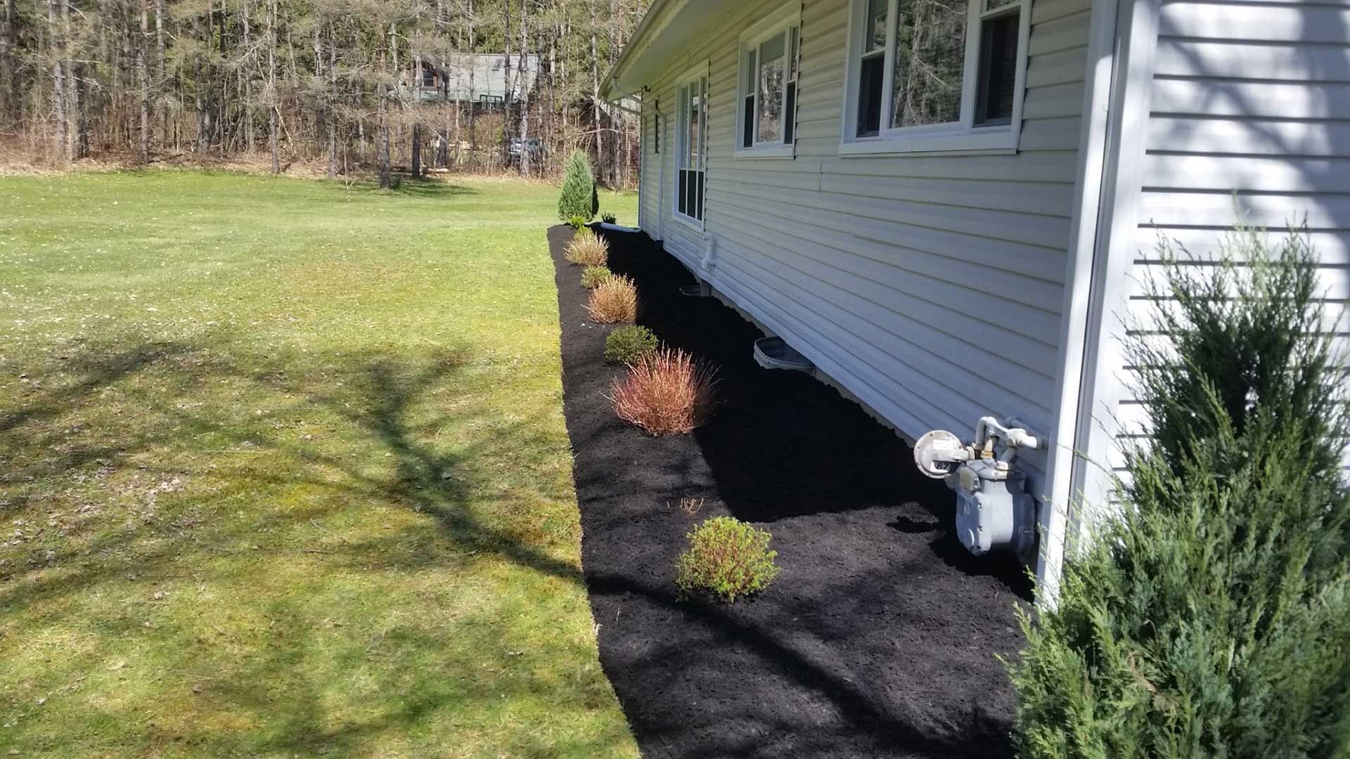 side of house with fresh black mulch and shrubs