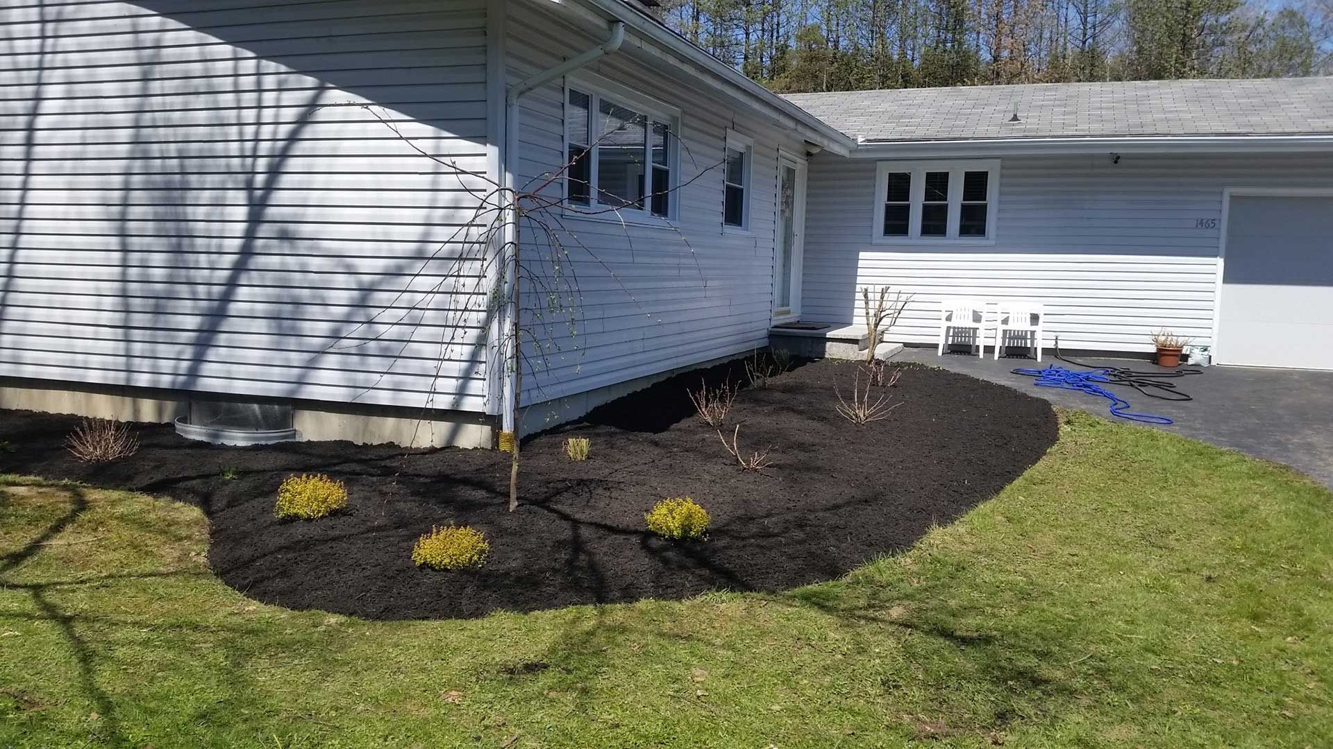 side of house with fresh black mulch and shrubs