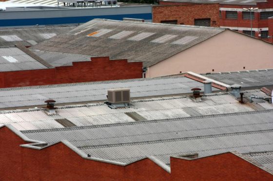 buildings with chimney in the roof