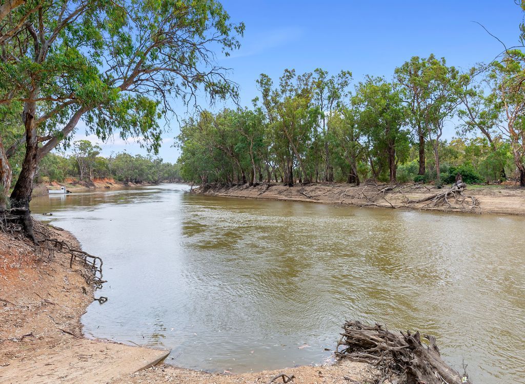 Murray River 3