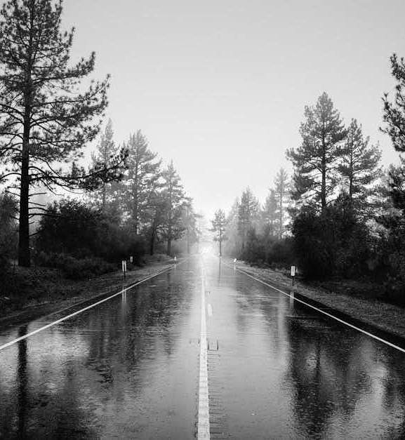 A black and white photo of a wet road with trees on both sides.