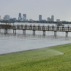 Wooden pier extending into water, city skyline in the background, green grass in the foreground with a sprinkler.
