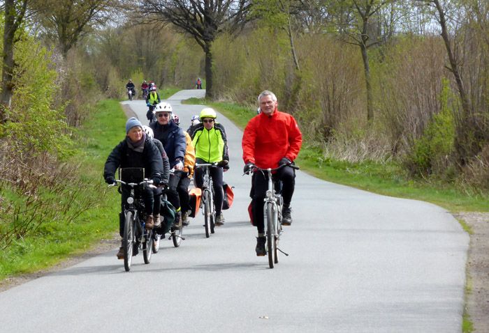 Einige Tandems auf der Hundertertour auf einer ruhigen Straße mit Links und rechts Wald
