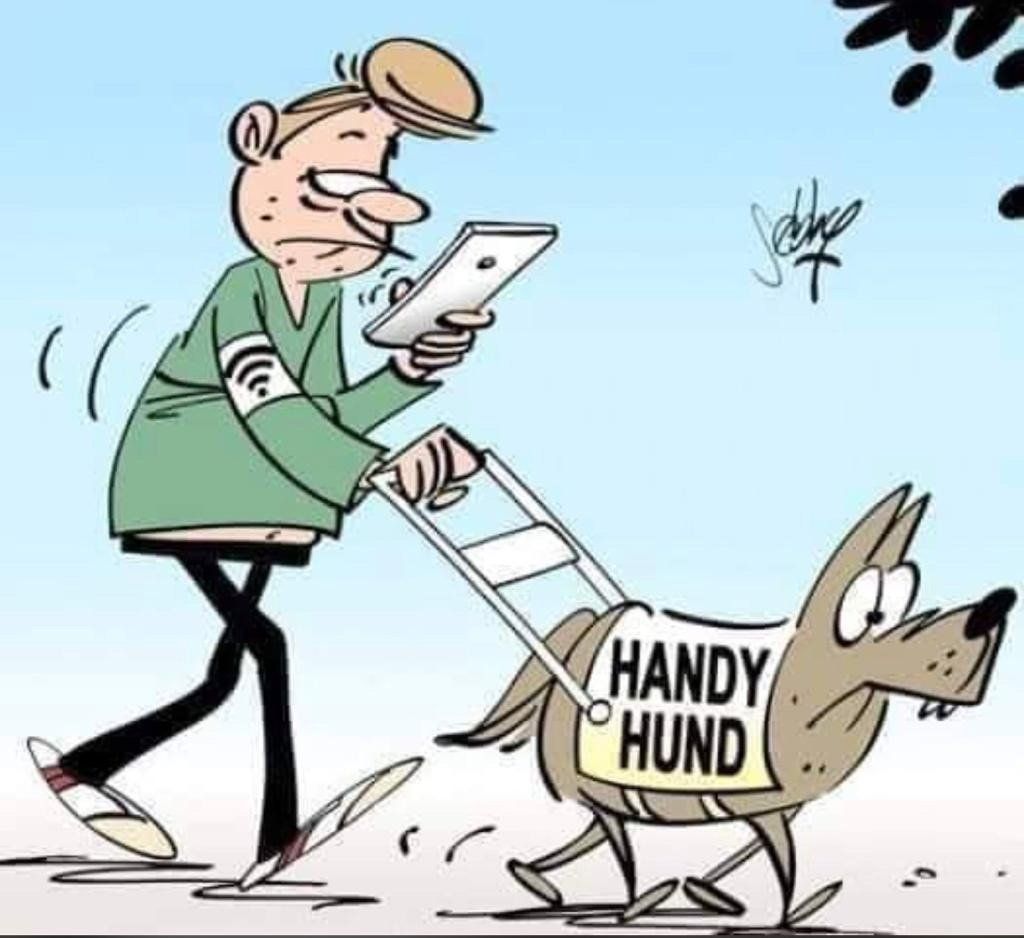 Der Cartoon zeigt einen Mann, der wandert während er aufs Mobiltelefon starrt. Er wird von einem Hund geführt. Der Hund und das Hundegeschirr sehen so aus, als handele es sich um ein Blindenführhund. Der Hund trägt eine Decke auf der geschrieben ist: 