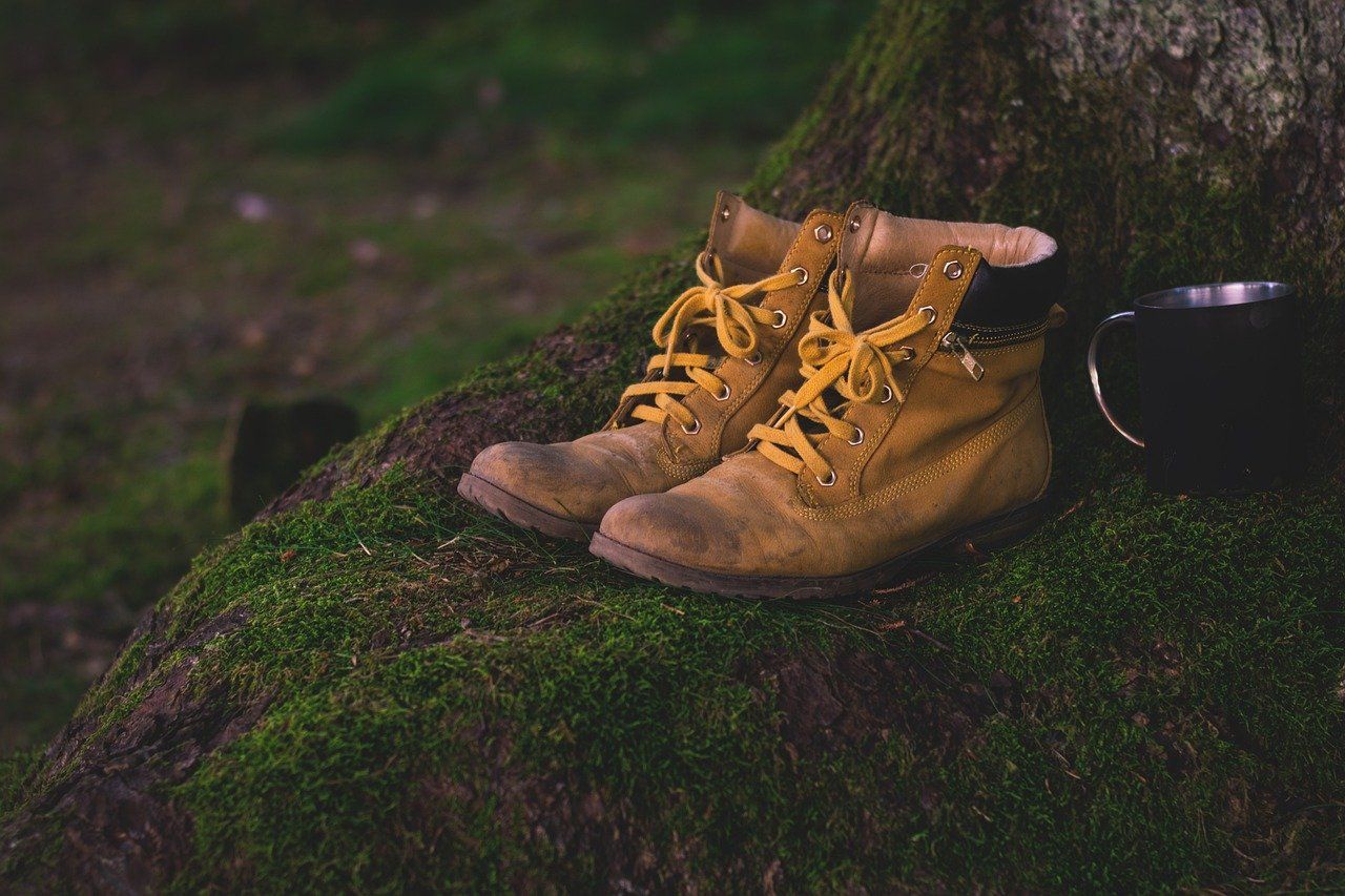 Symbolfoto von einem Paar Wanderschuhe mit einem Aluminium Becher daneben. Das alles auf einem vermosten Wurzel eines Baumes