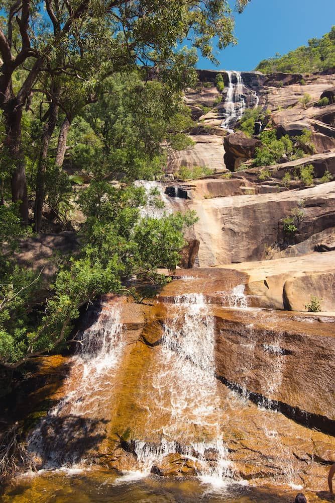 A Waterfall is Surrounded by Trees and Rocks — Poljak Plasterers in Alligator Creek, QLD