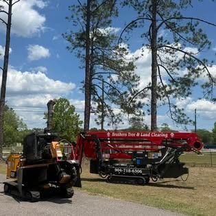 What Land Clearing Actually Costs in Jacksonville (And What Goes Into the Price)