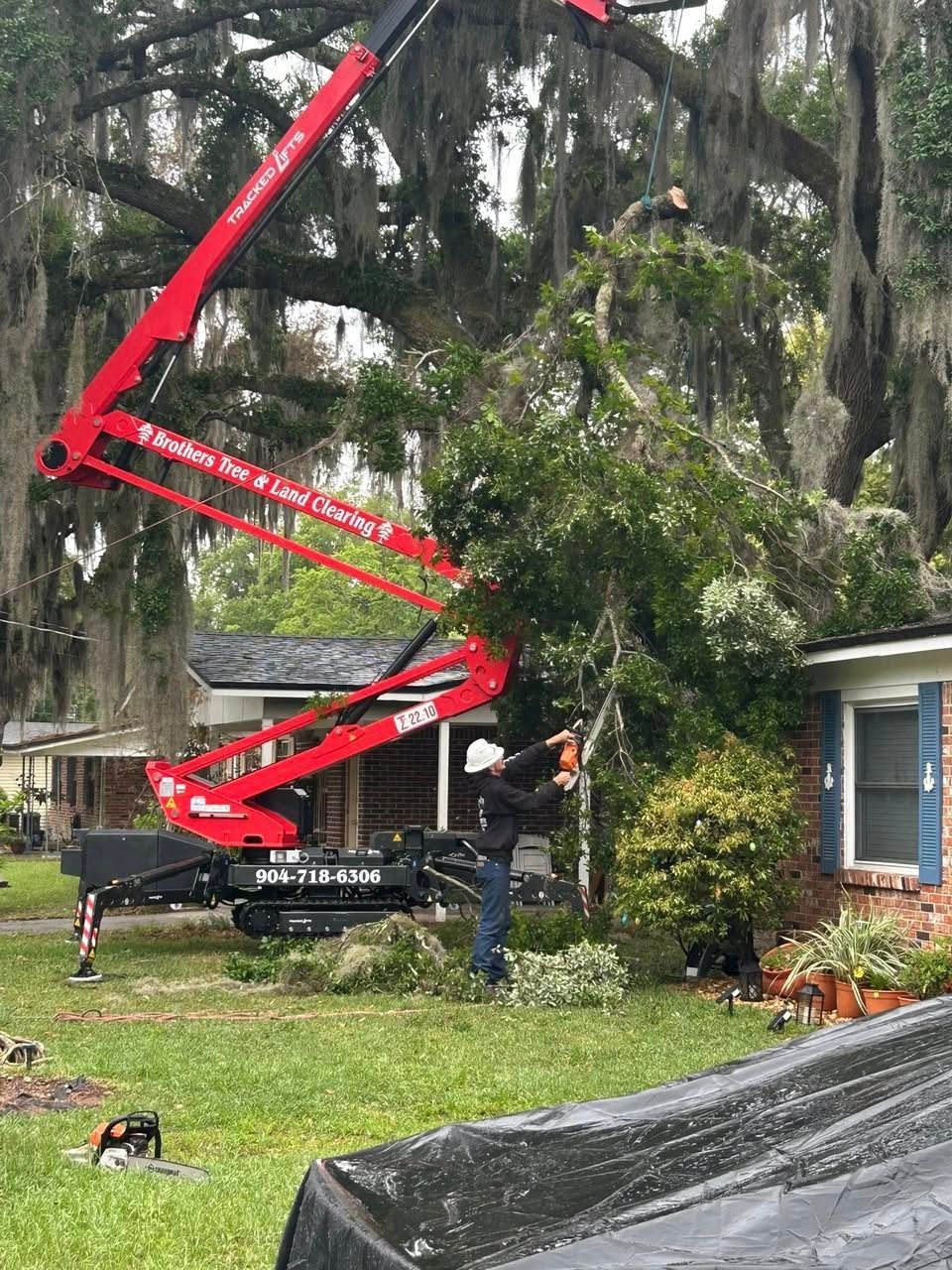Red cherry picker lift raising a worker in a yard beside a house, with tall trees overhead