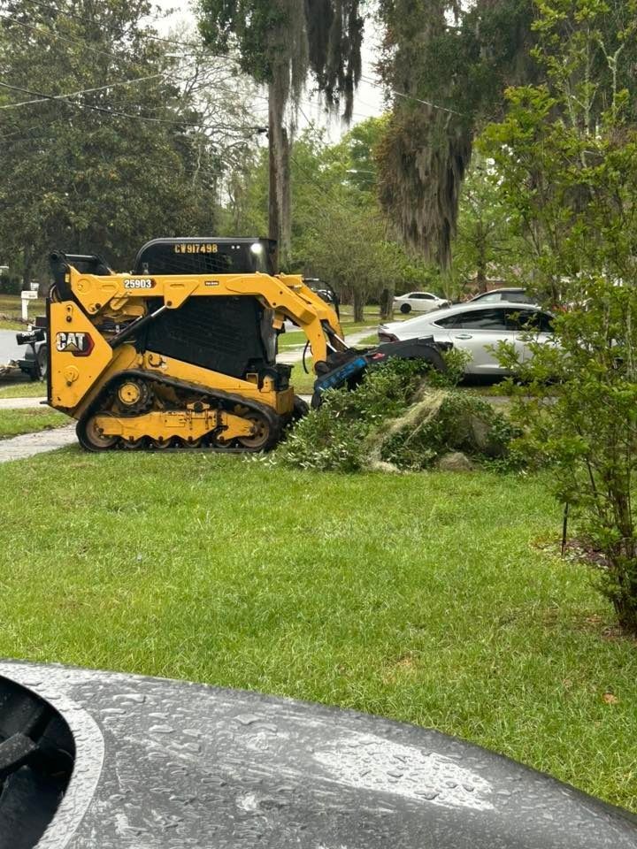 Hurricane Season Is Coming: Your Northeast Florida Tree Prep Checklist