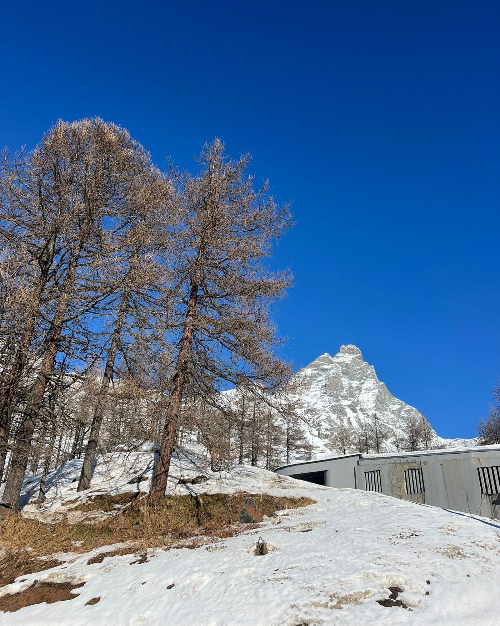 Paesaggio montano innevato con alberi spogli, cielo azzurro brillante e un edificio sul pendio di una collina.