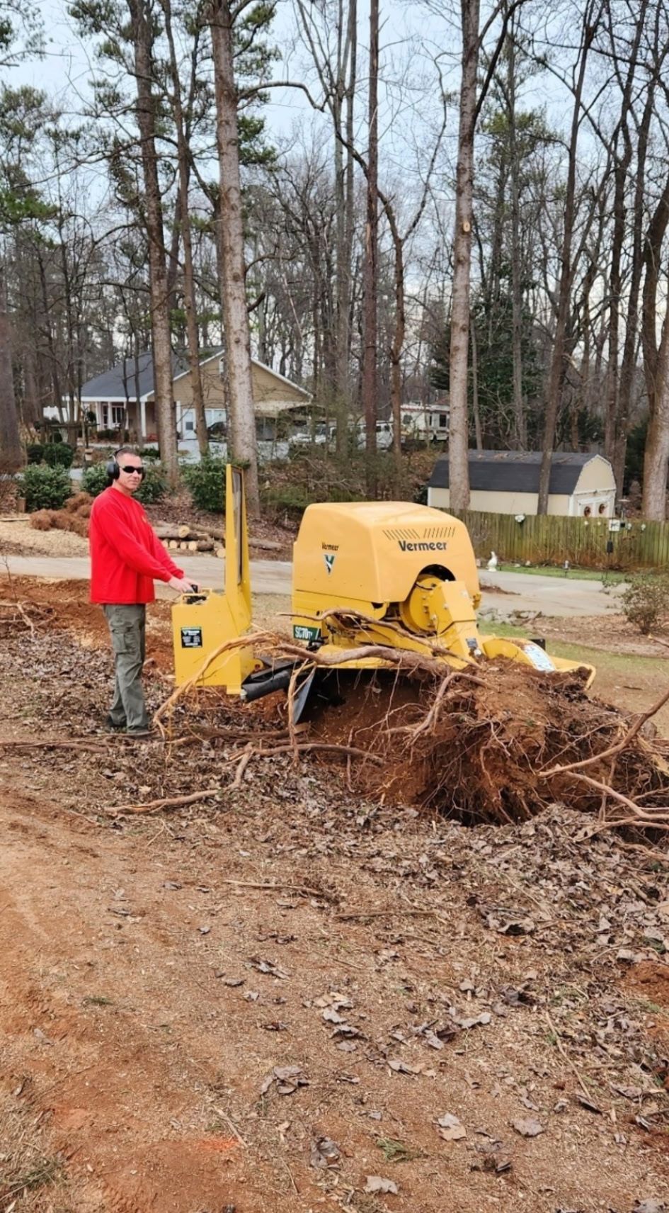 Tree Services 32