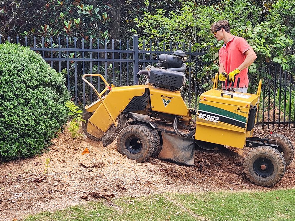 Tree Services 30