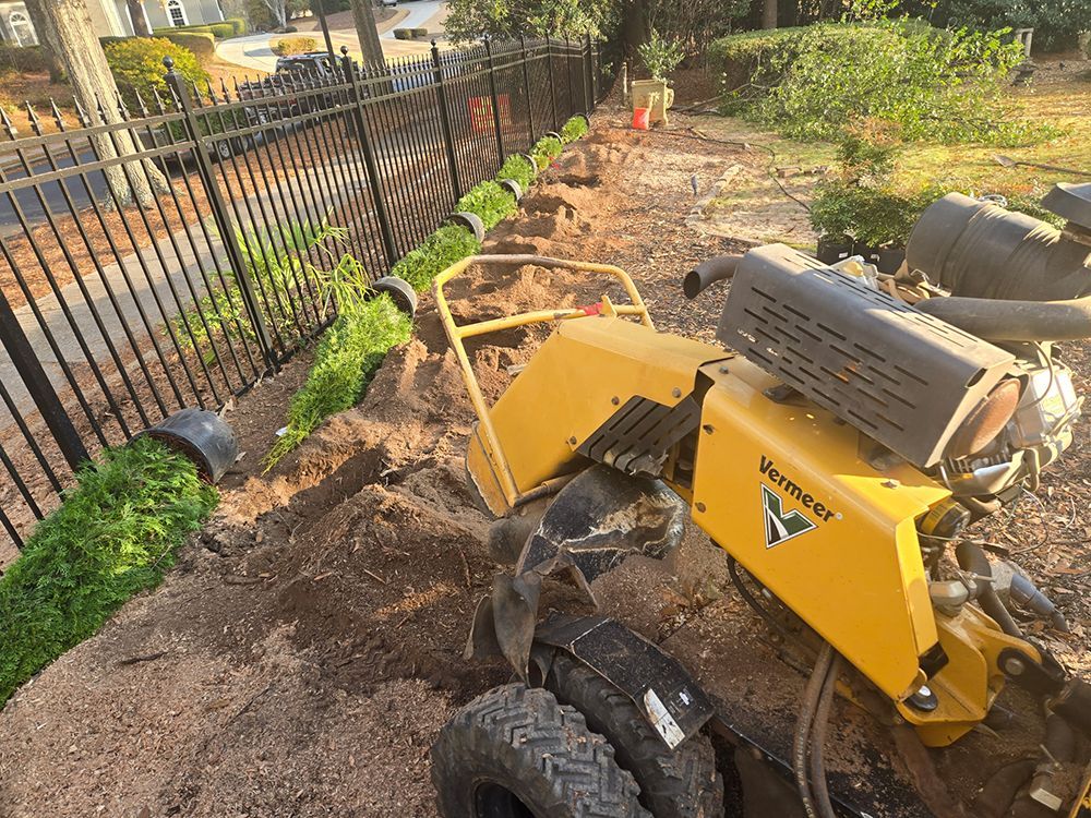 Tree Services 31