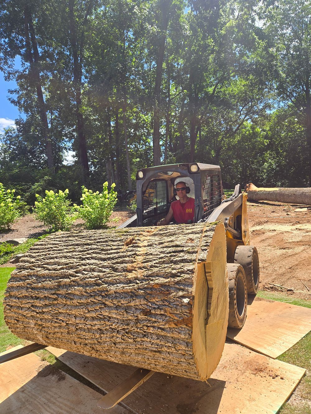 Tree Services 49