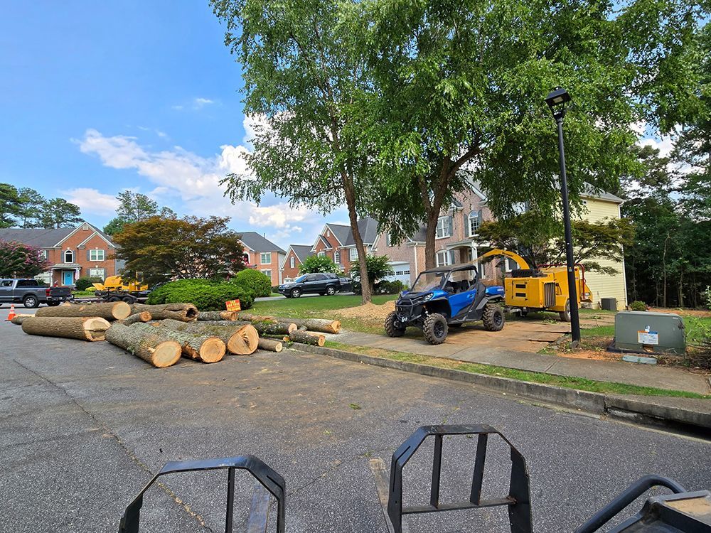 Tree Services 48