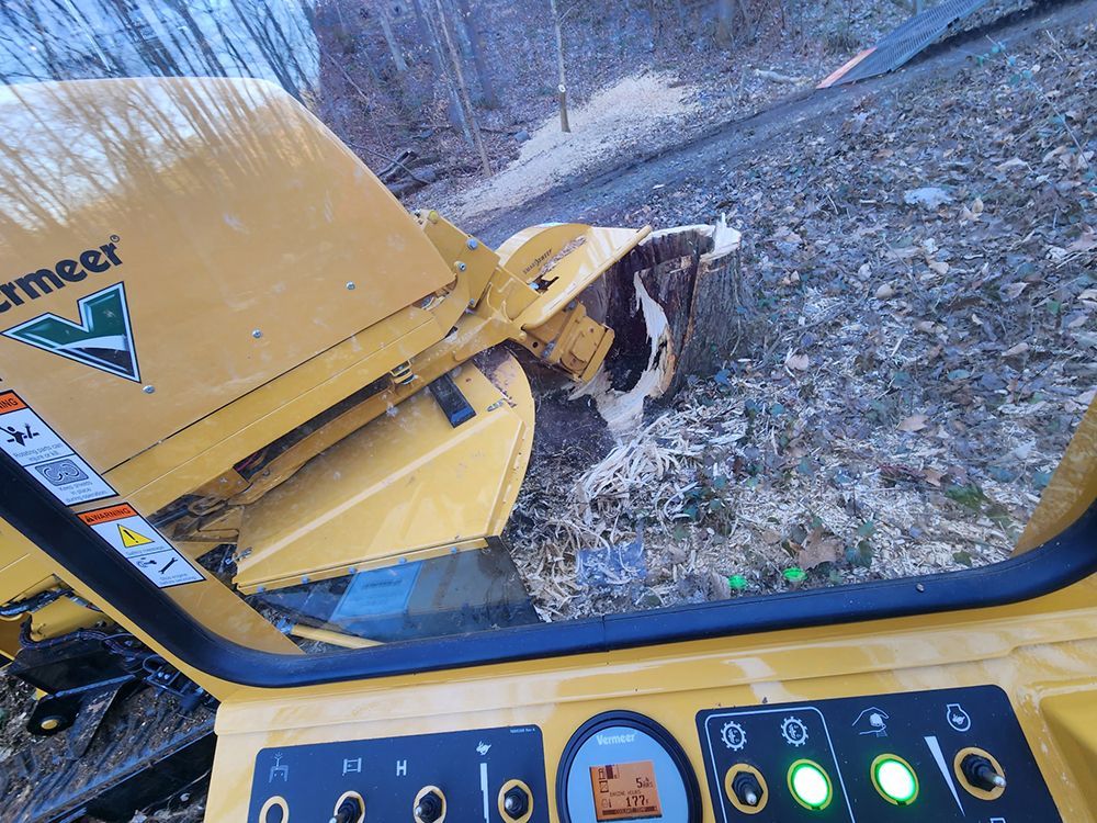 Tree Services 29