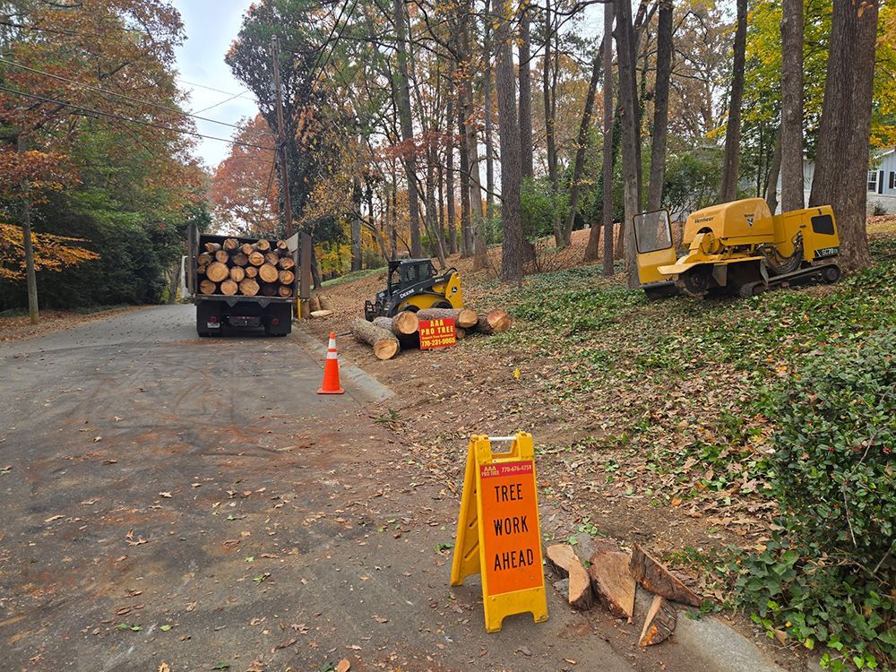Tree Services 47