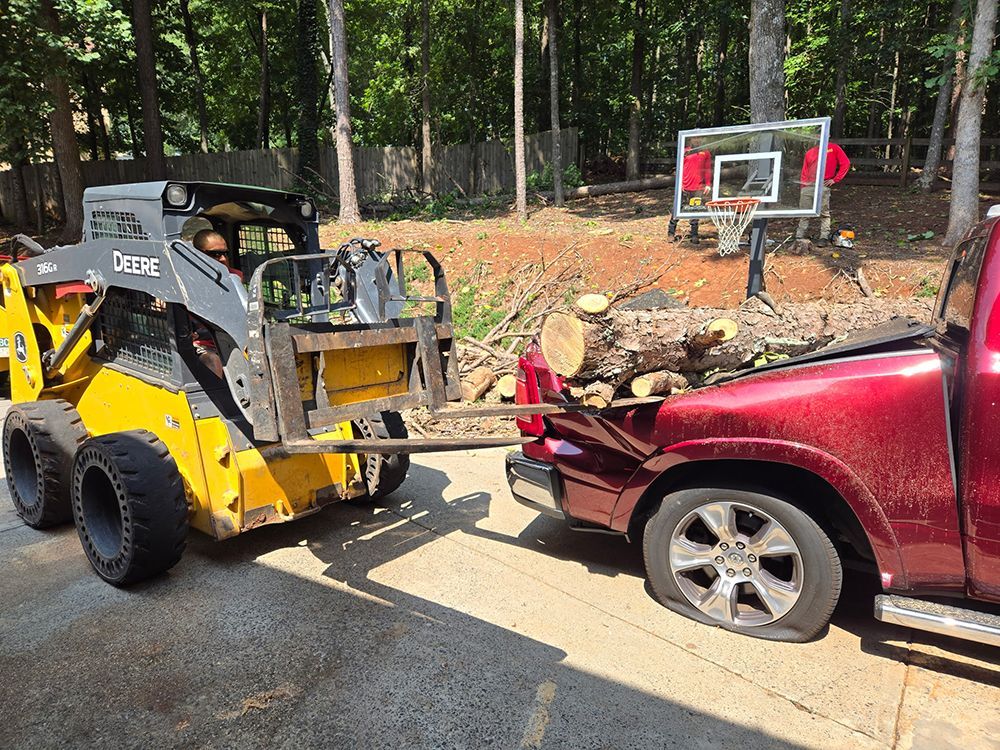 Tree Services 8