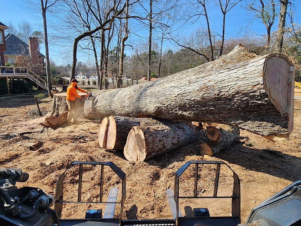 Tree Services 44