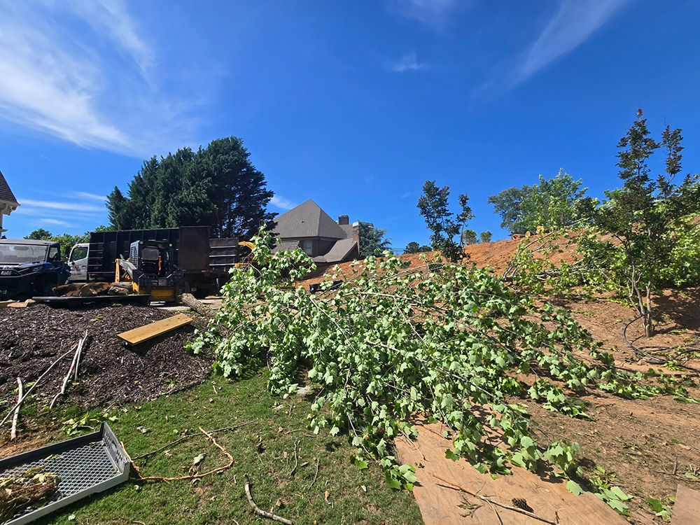 Tree Services 24