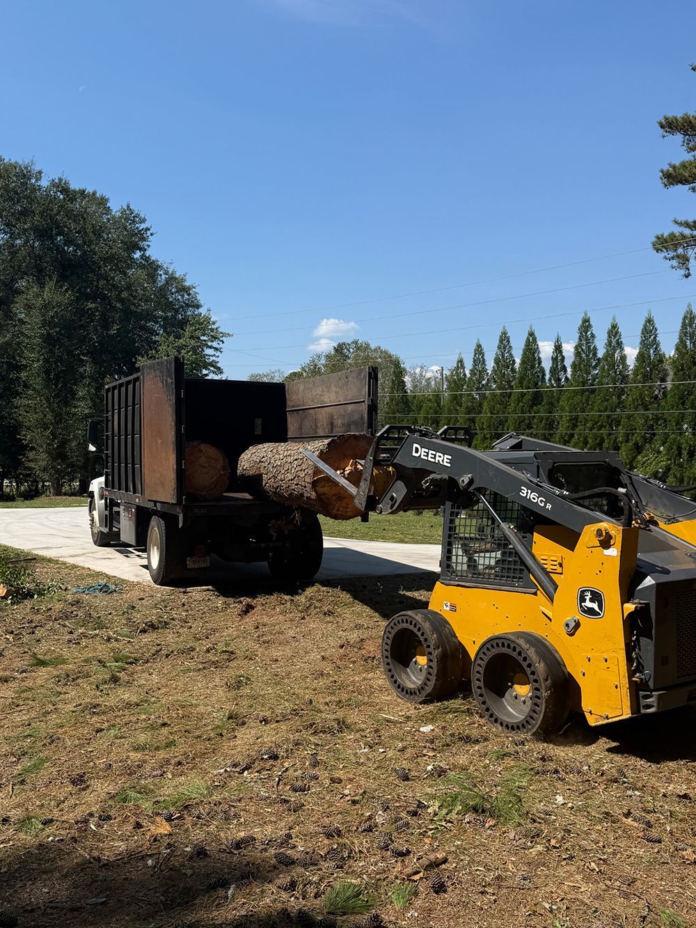 Tree Services 43