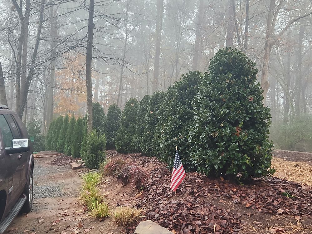 Tree Services 26