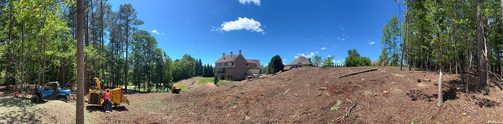 Tree Services 23