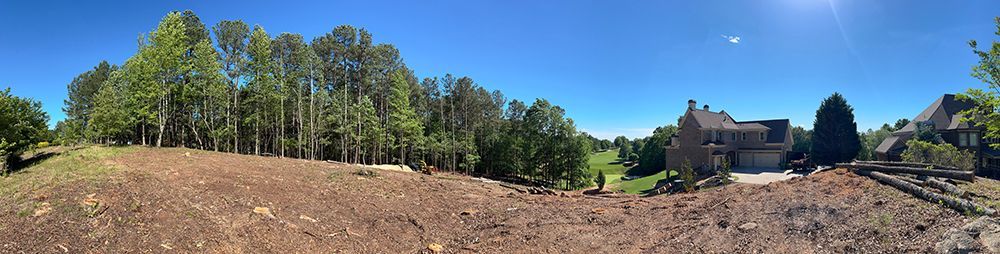 Tree Services 22