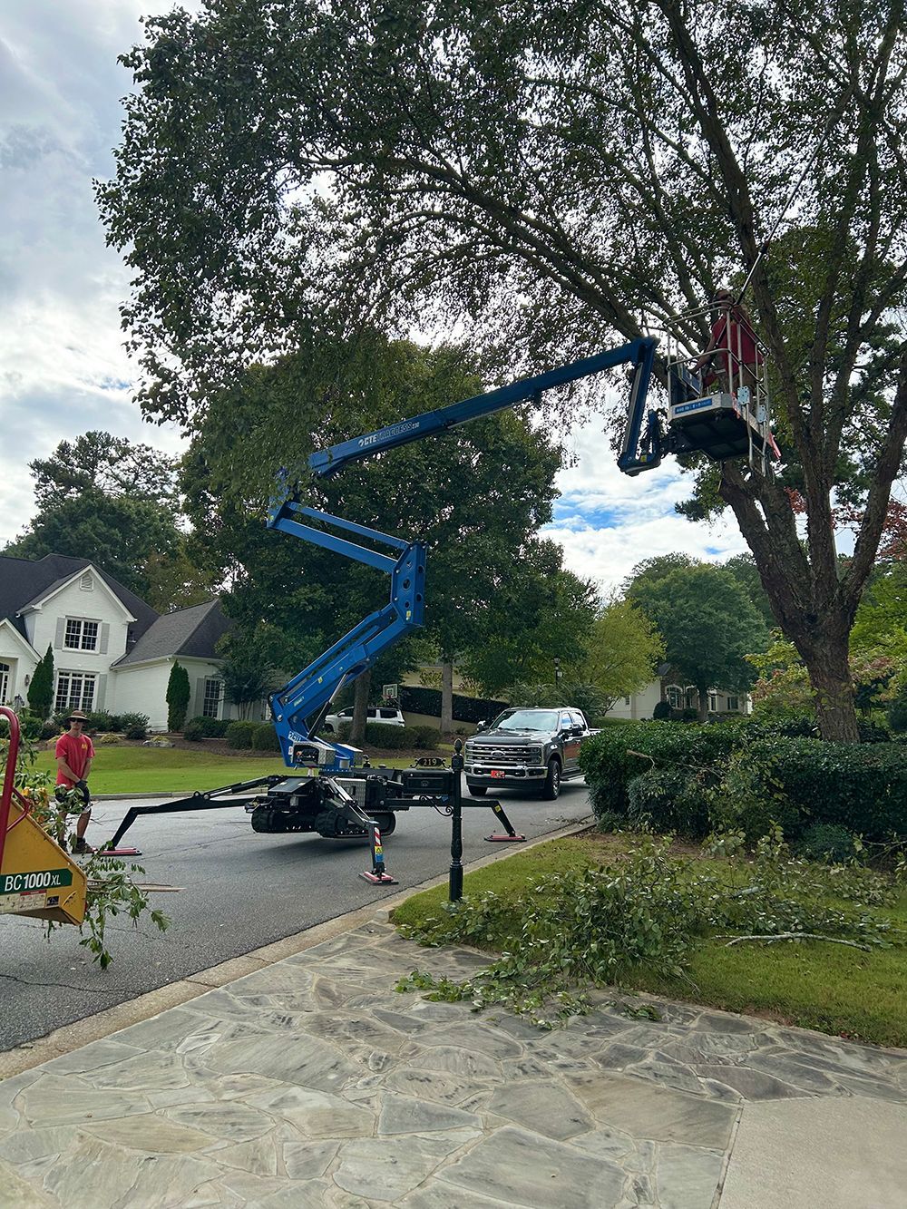 Tree Services 50
