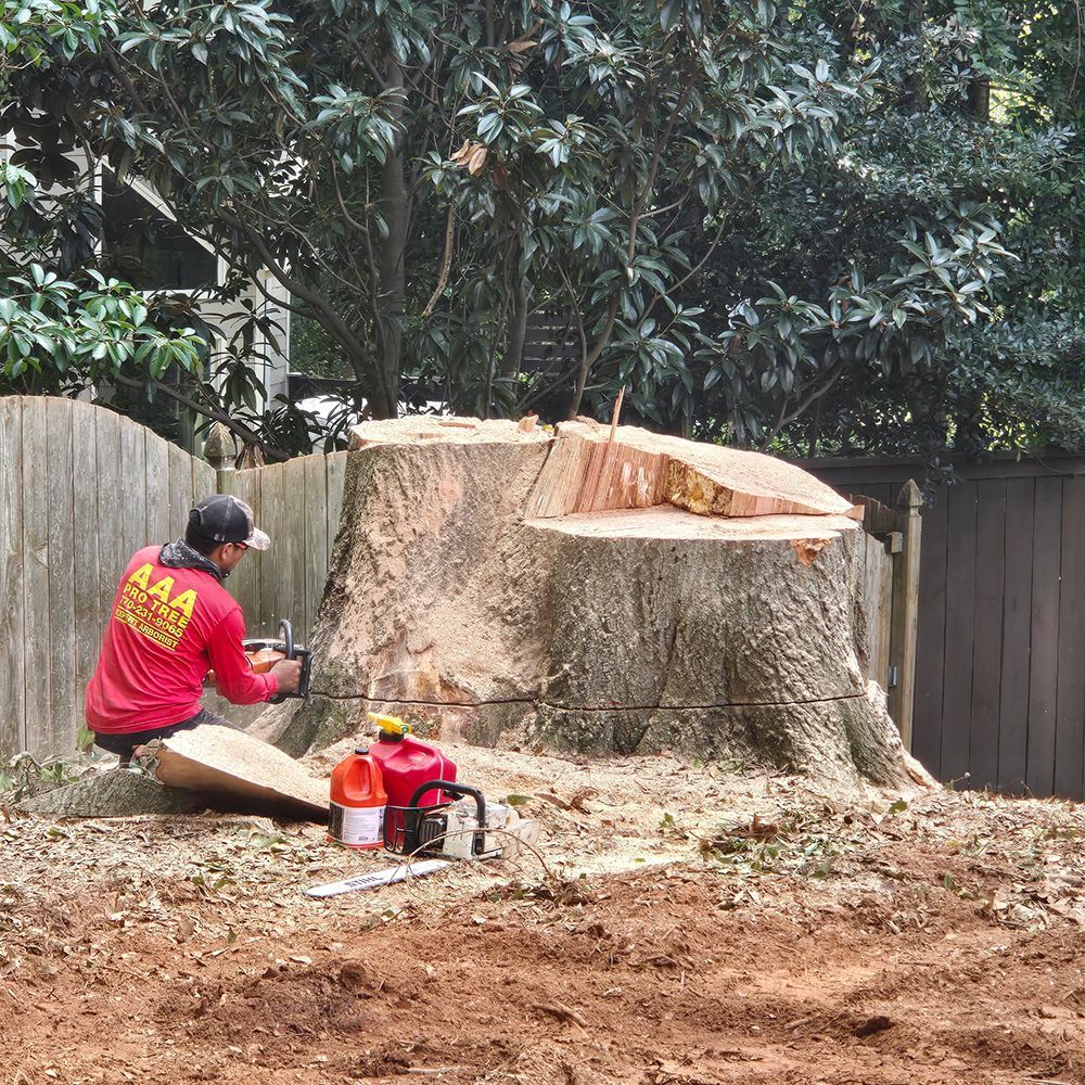 Tree Services 38