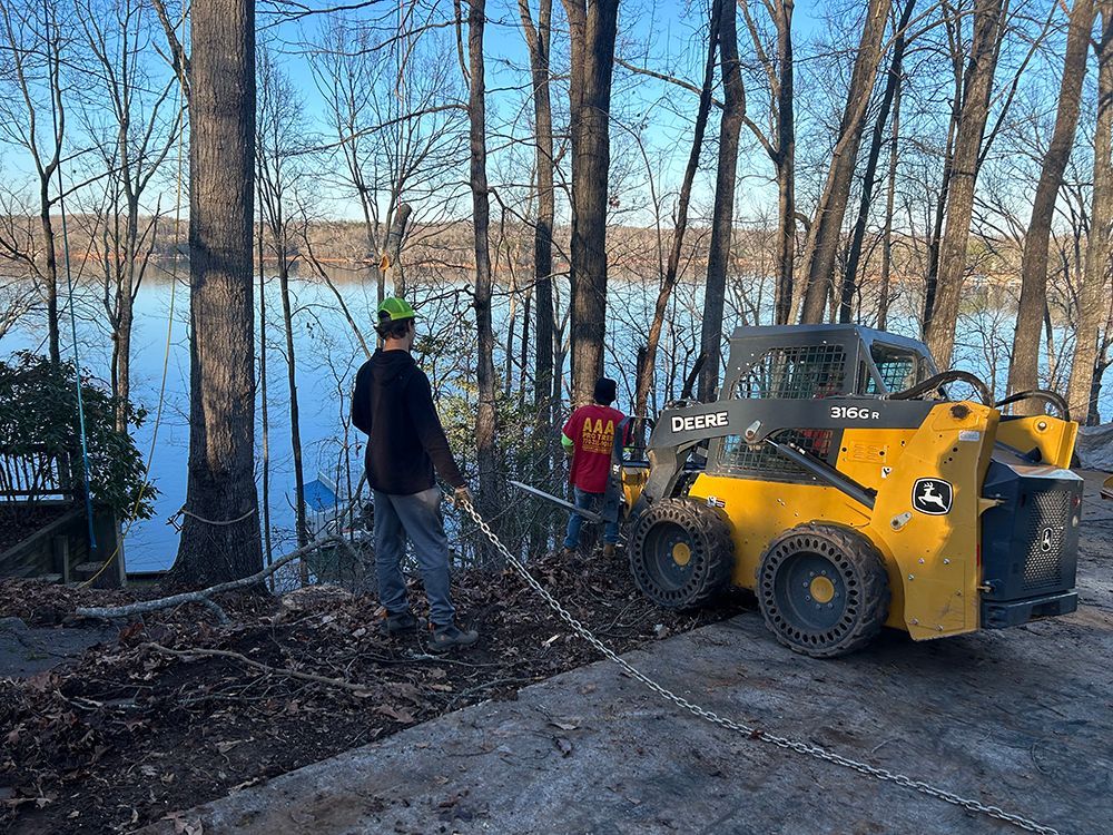 Tree Services 34