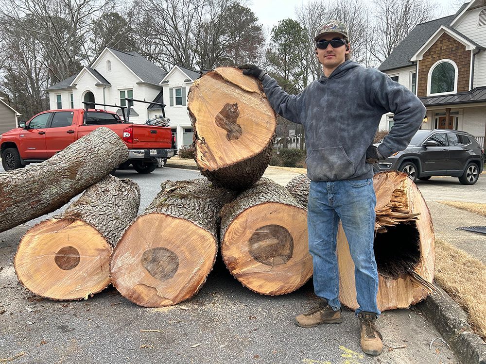 Tree Services 20