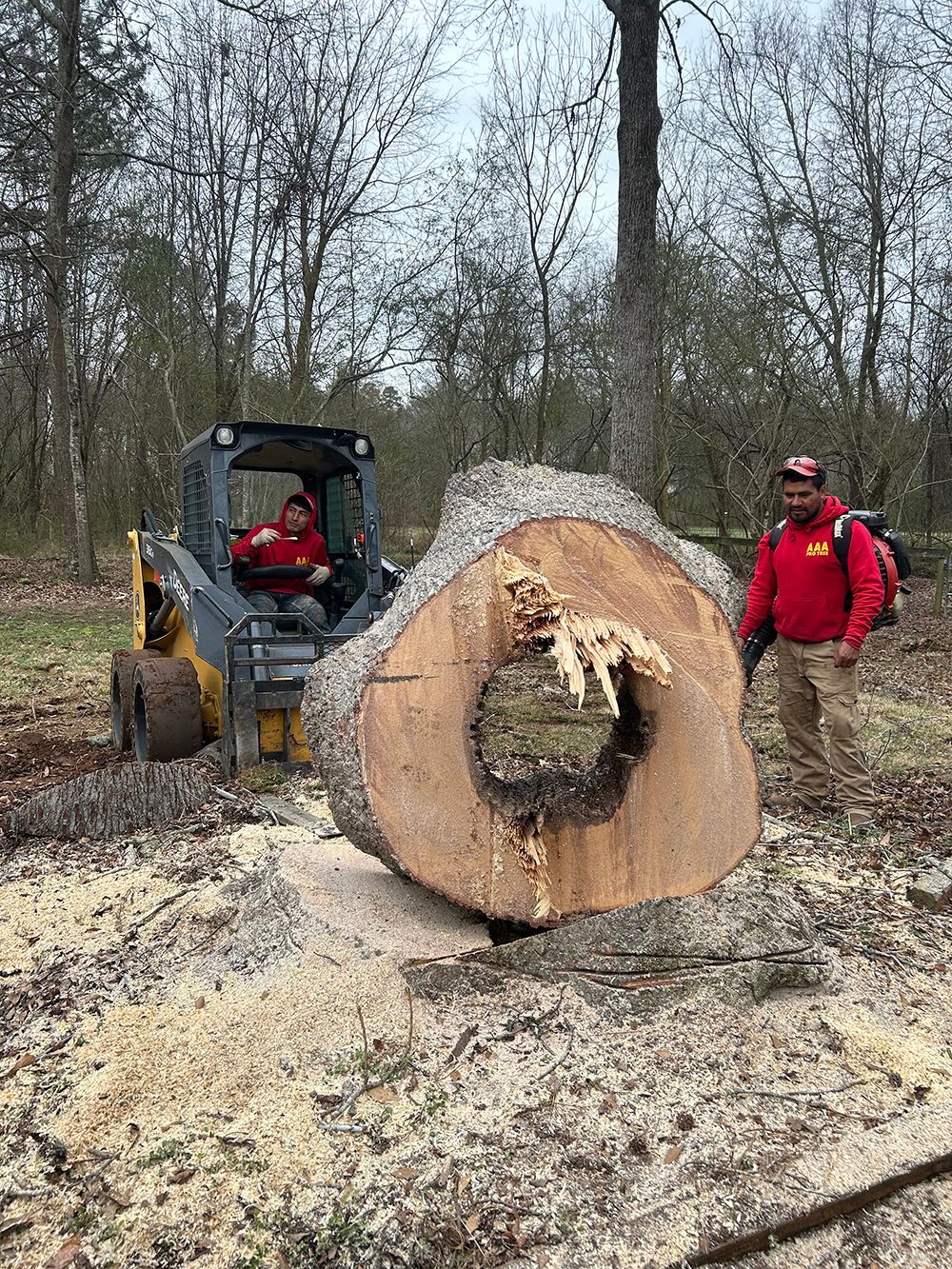 Tree Services 35