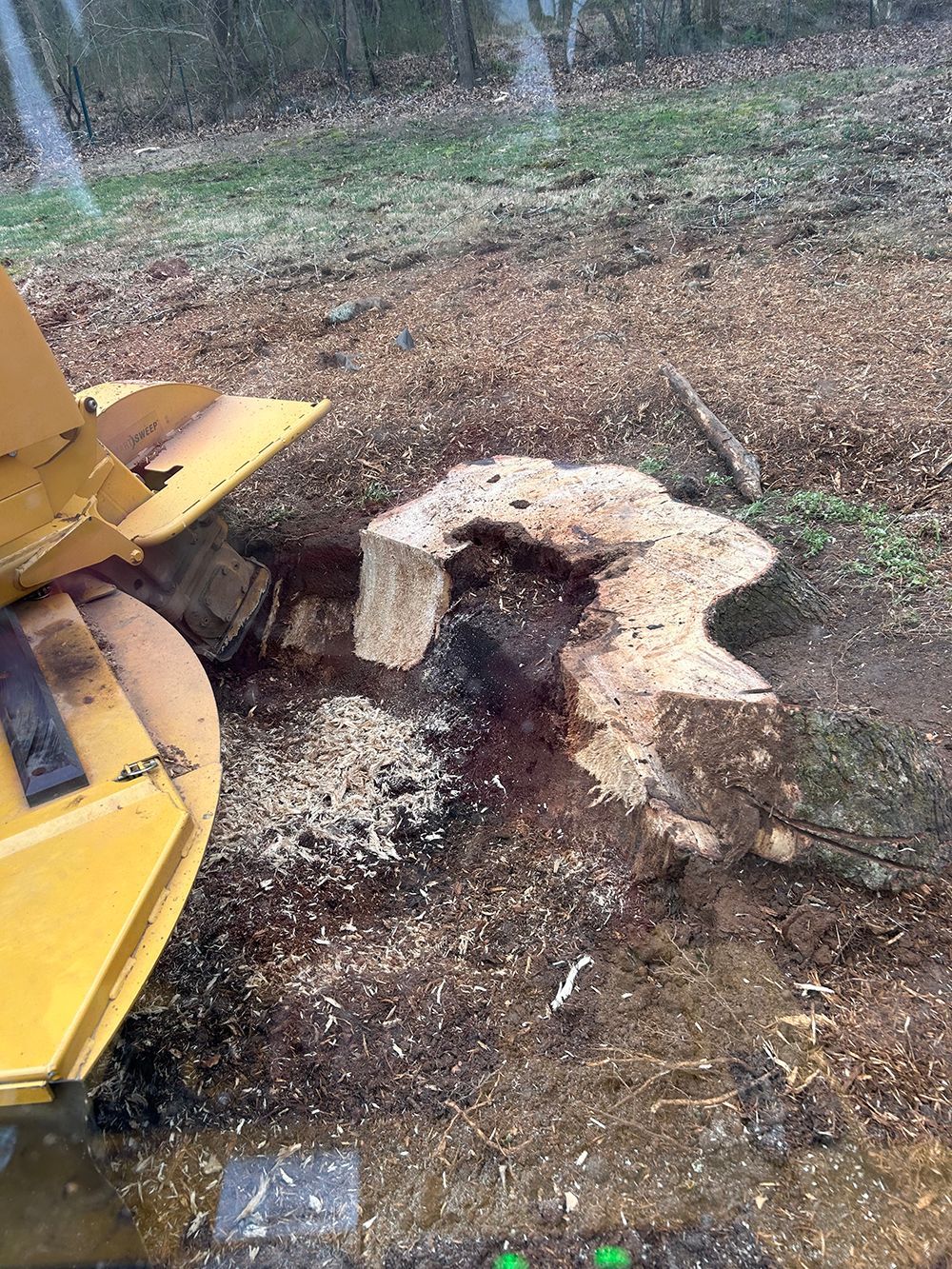 Tree Services 28