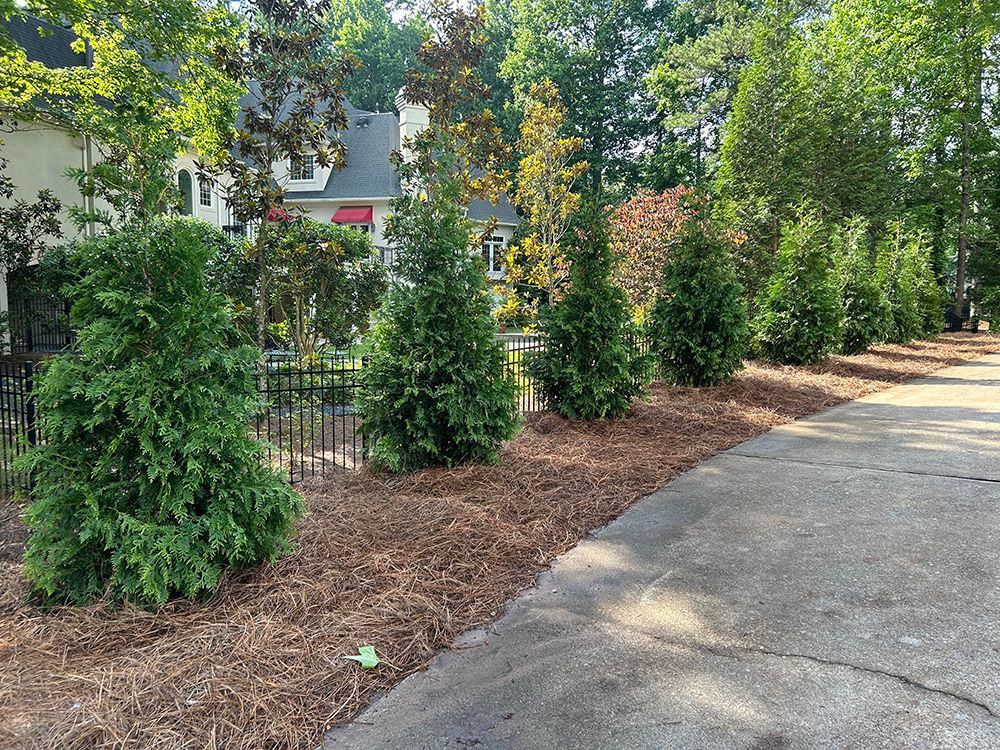 Tree Services 25