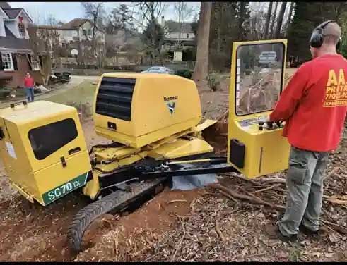 Tree Services 4