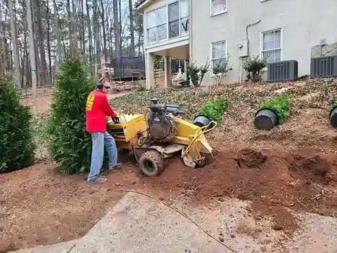 Tree Services 3