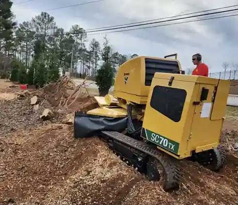 Tree Services 2