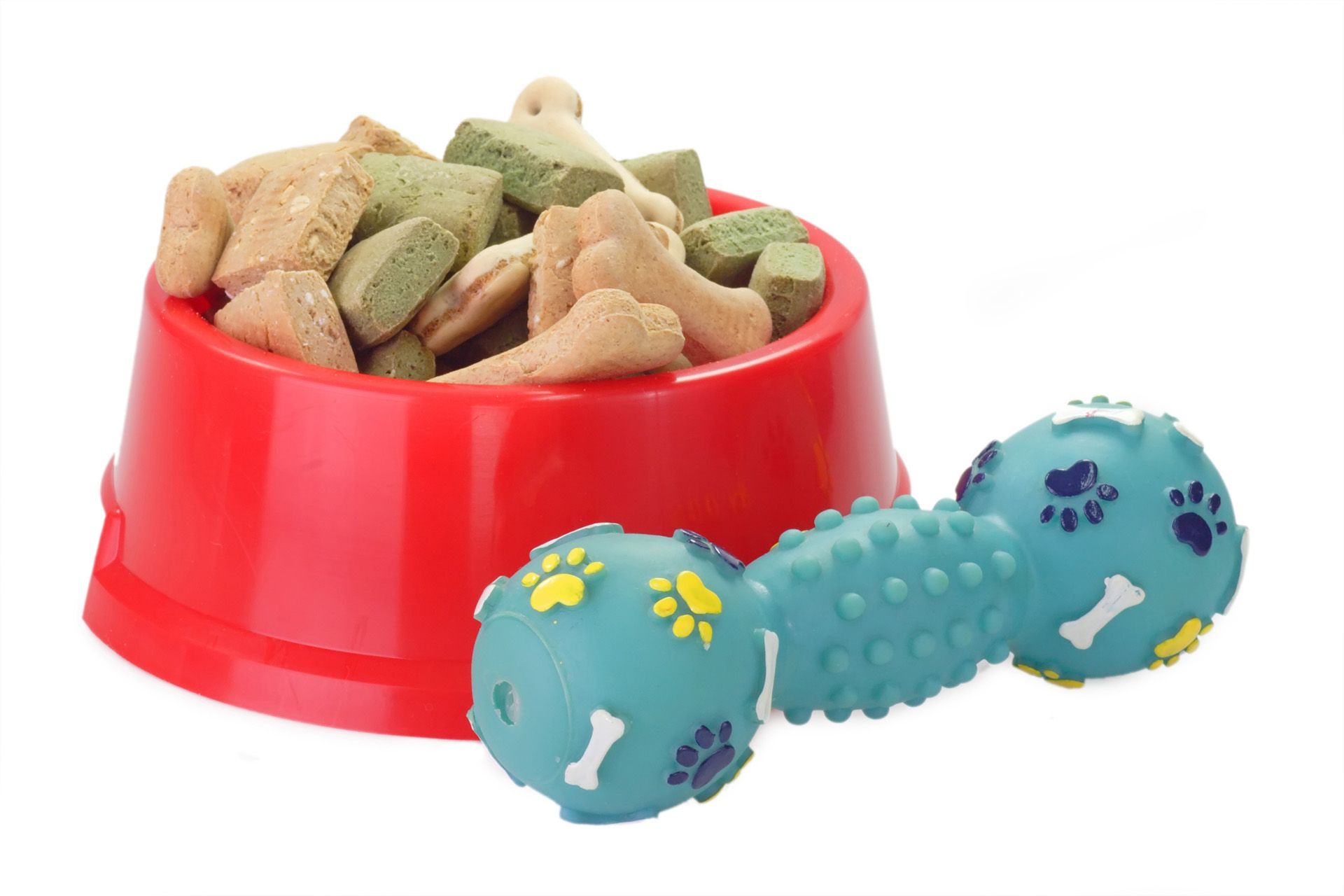 accesorios para mascotas