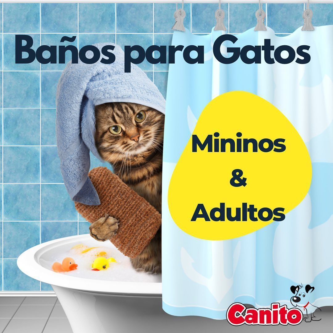 mininos