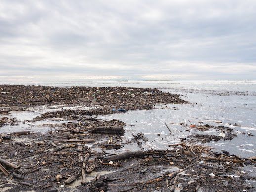 There is a lot of trash on the beach and in the water.