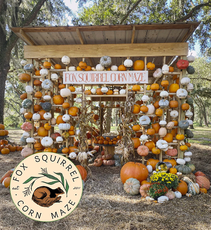 Pumpkin-decorated corn maze entrance, Fox Squirrel Corn Maze sign. Pumpkins in various sizes & colors. Pumpkin-decorated corn maze entrance,