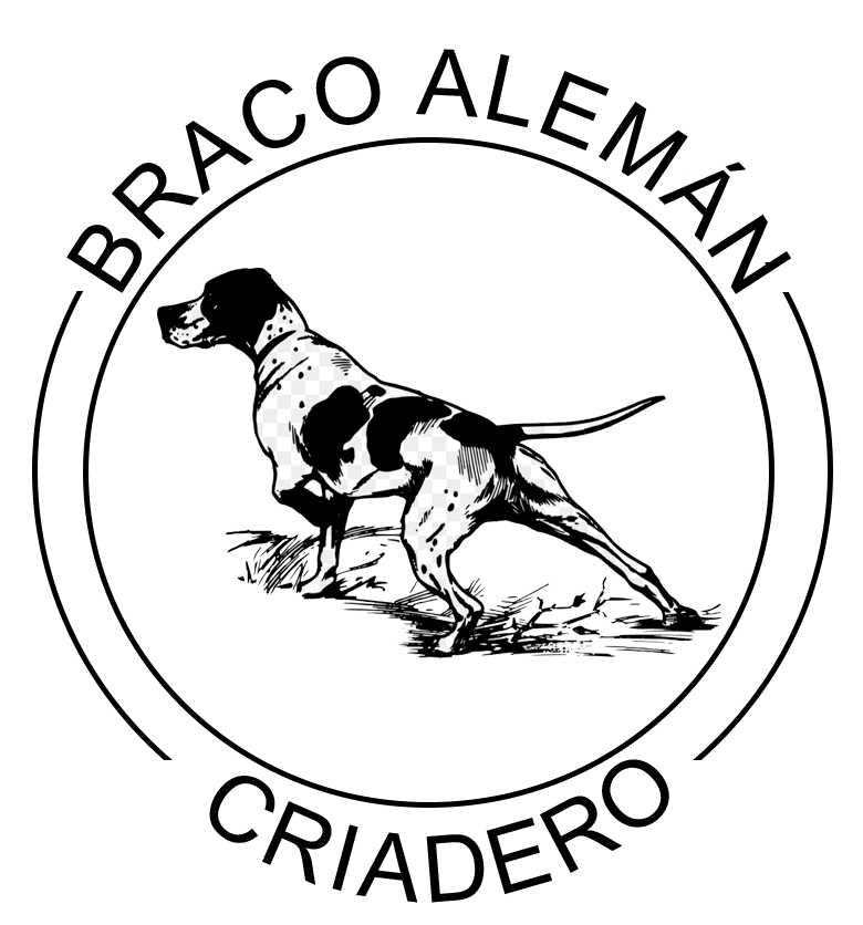 shih tzu en venta logo