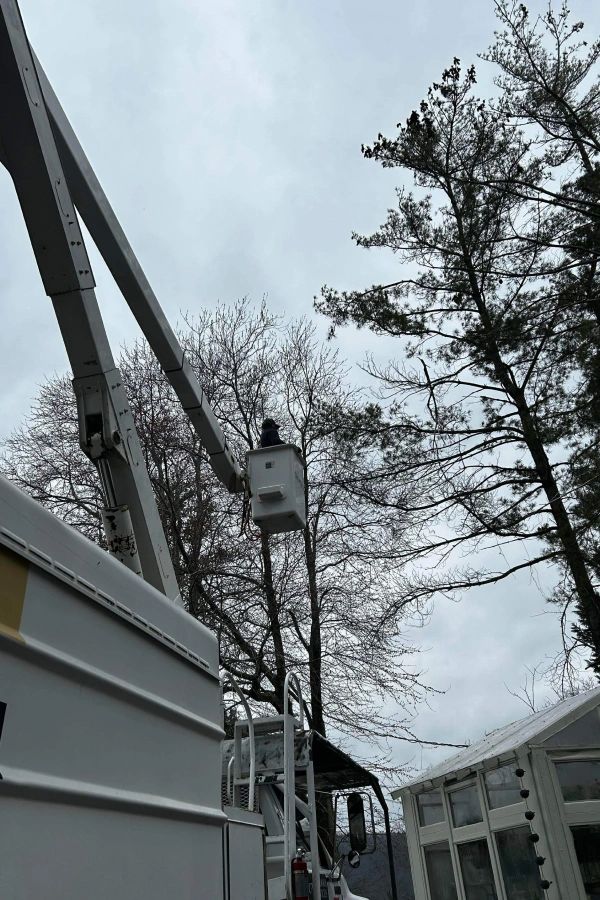A utility truck with an extended bucket lift raised toward trees against a cloudy sky.