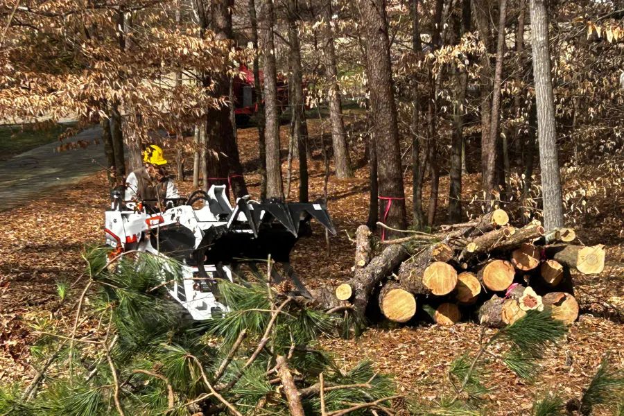 A worker in a hard hat operates a white skid steer with a grappler attachment near a pile of cut logs in a wooded area.