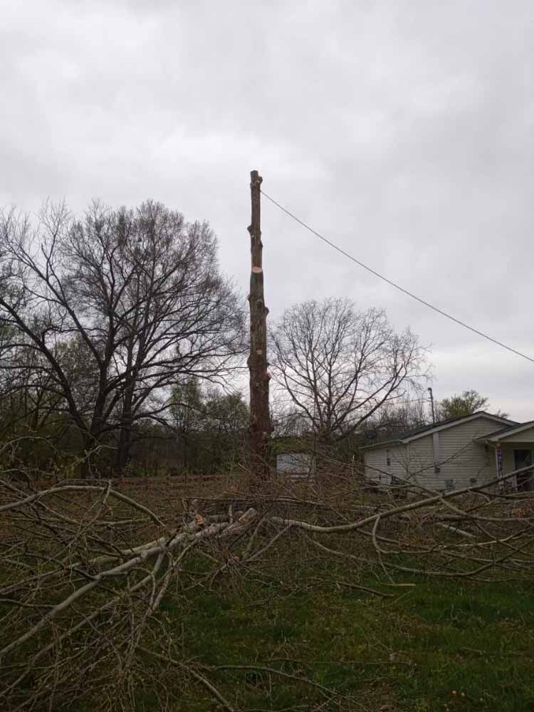 A tall tree trunk stripped of its branches stands in a yard with debris scattered on the ground under a cloudy sky.