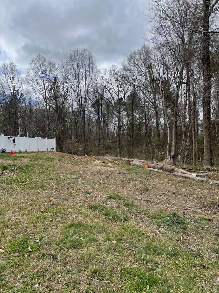 A grassy, partially cleared backyard slopes toward a dense treeline behind a white vinyl fence under a cloudy sky.