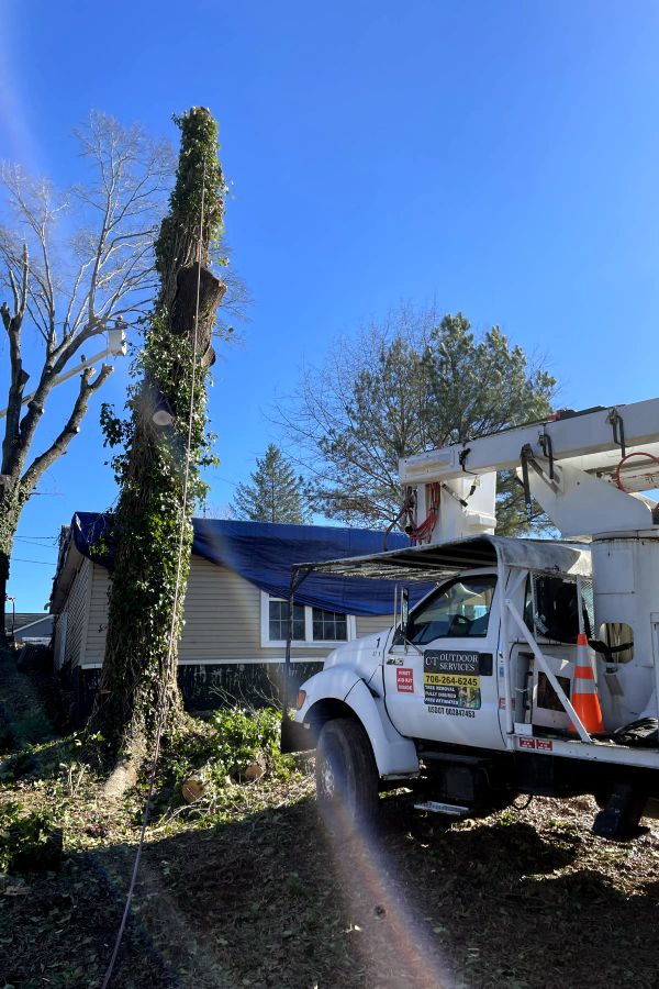 A white utility truck parked near a house with a blue tarp on the roof, positioned next to a tall, ivy-covered tree.