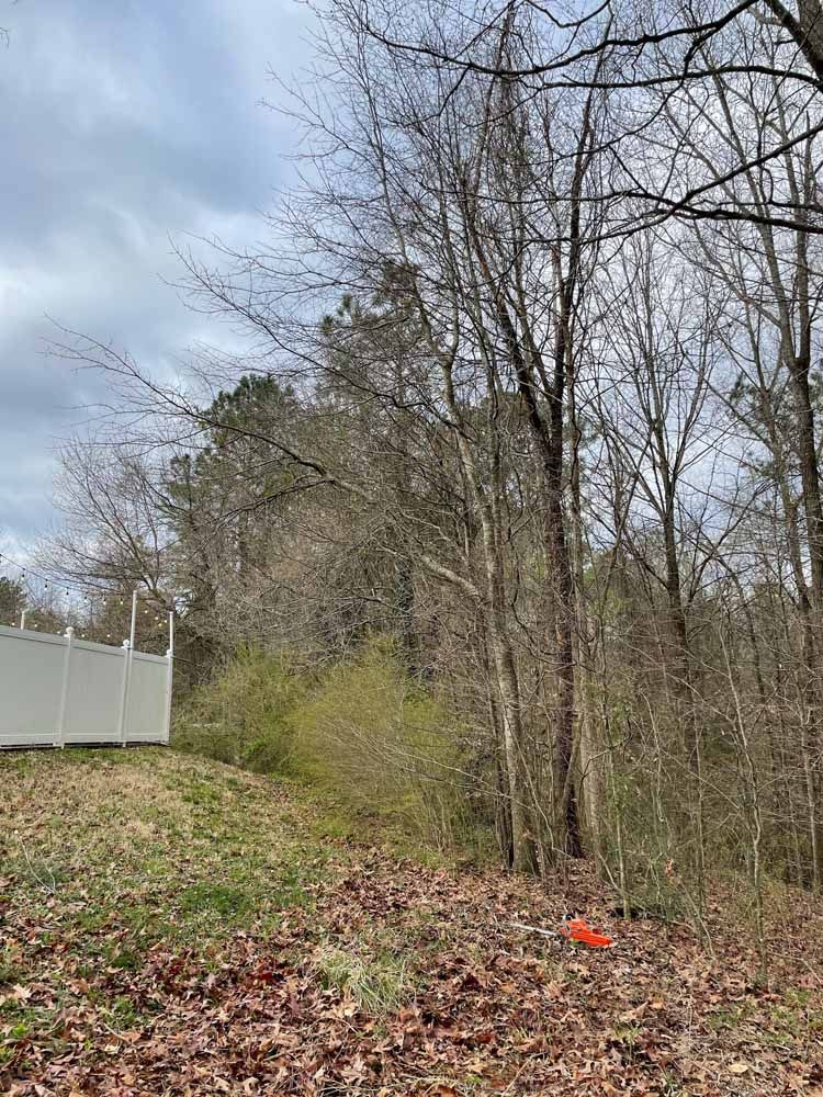 A white fence borders a backyard sloping down toward a dense, leafless forest under a cloudy sky.