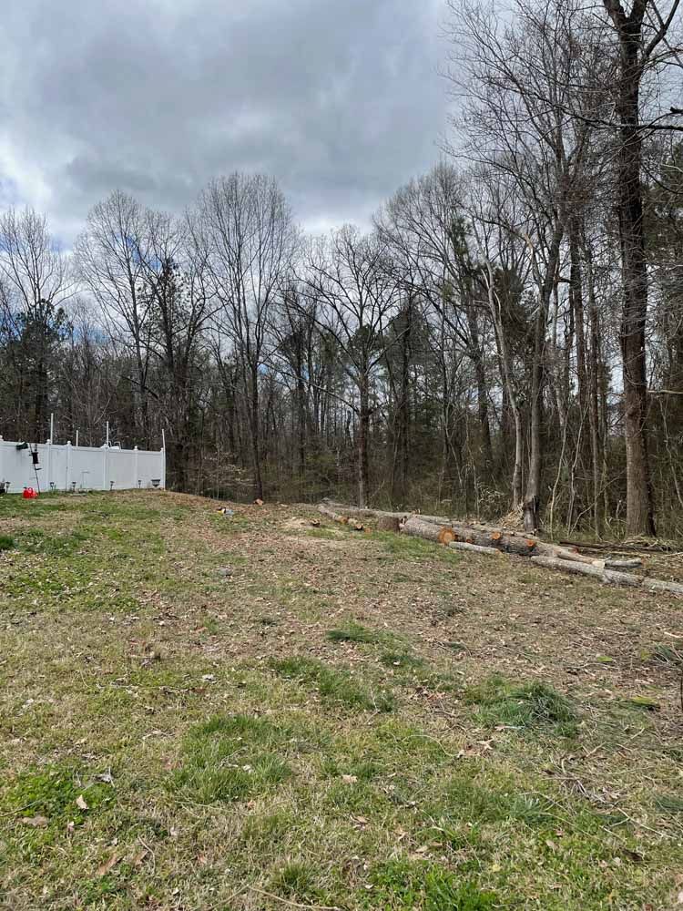 A view of a clearing in front of a wooded area, with a white fence on the left under a cloudy sky.